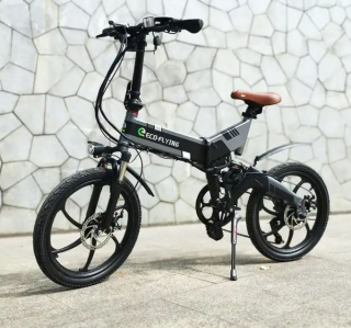 Elektrobicykel ECO-FLYING F501 10Ah 250W